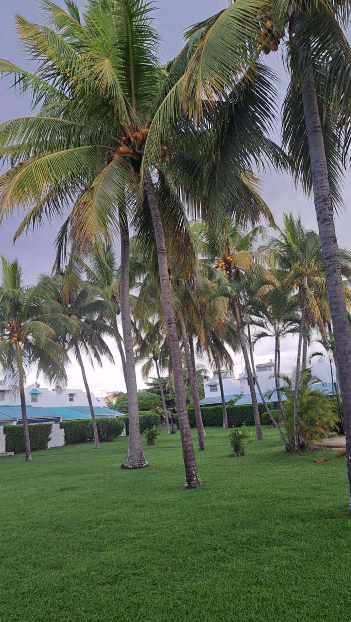 Peaceful And Private Villa Grand Baie Exterior foto